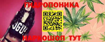 a pvp Гусев