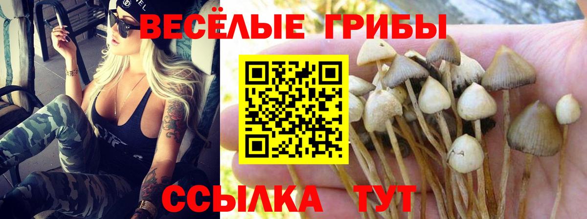 Майкоп  Галлюциногенные грибы MAGIC MUSHROOMS  Вход с VPN 
